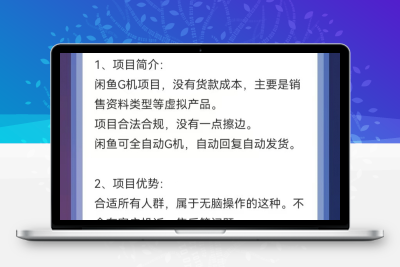 闲鱼自动G机项目，0货款成本，单号日收益300+，可矩阵放大收益-亿多多首码网