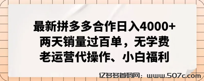 开店两天销量暴增玩法日入4000+，拼多多合作运营项目，当个甩手掌柜-亿多多首码网