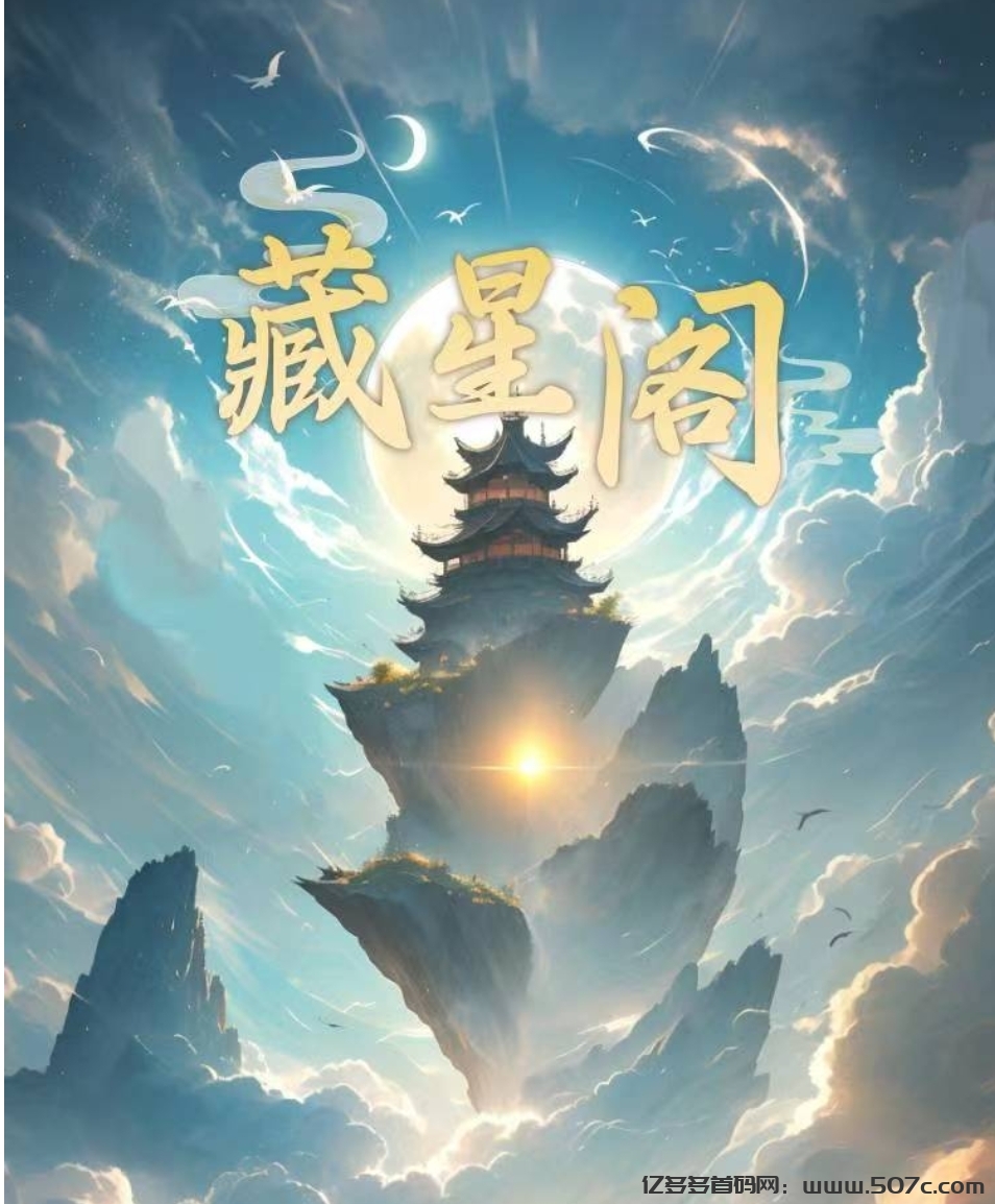 《藏星阁》全网最火首码项目-亿多多首码网