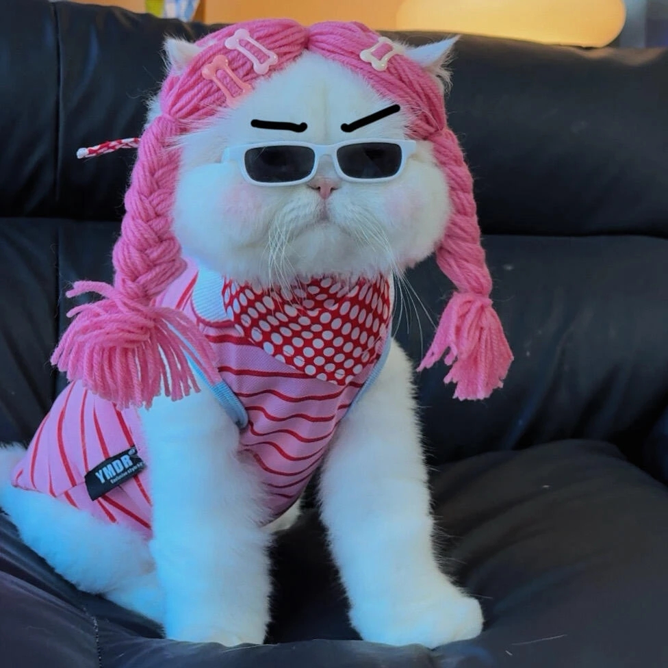 海螺APP（零撸勿投资）-亿多多首码网