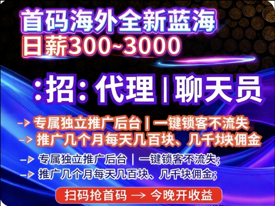 首码海外聊天代理,全新蓝海赛道机遇风口月入过万市场一片空白-亿多多首码网