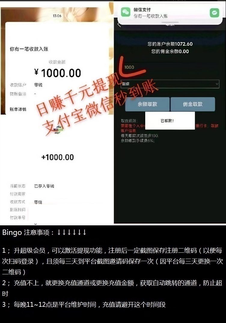 薅羊毛2.0版,Bingo智能科技,日赚千元,升级超级会员,提现秒到!