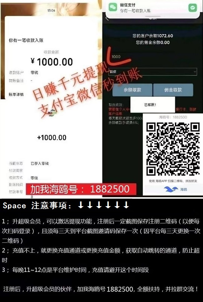 7ed0e55843c0f5b8d790f4d3daeee843