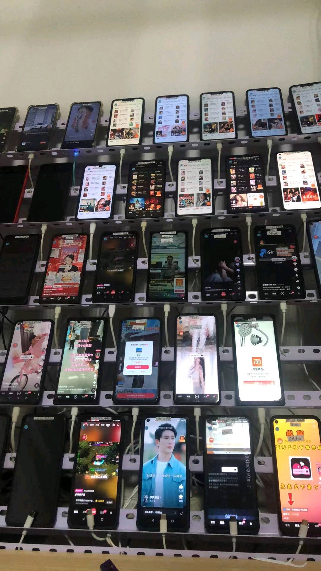 mmexport1766872726278