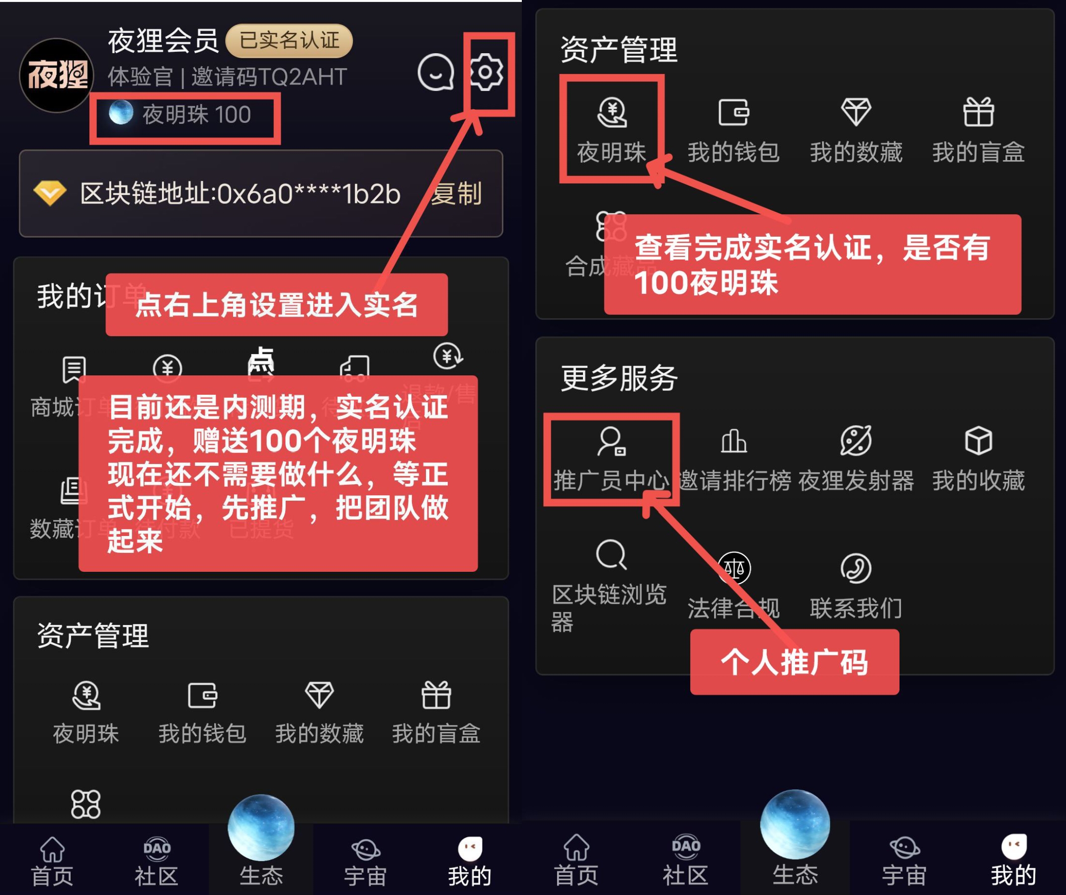 撸数字藏品刚出的，目前内测期，注册实名认证送100个夜明珠-亿多多首码网