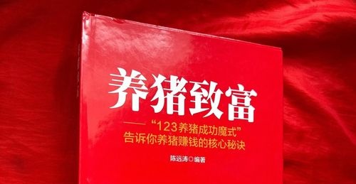 首码圈项目推荐，养了只猪手机养猪赚钱小游戏项目-亿多多首码网